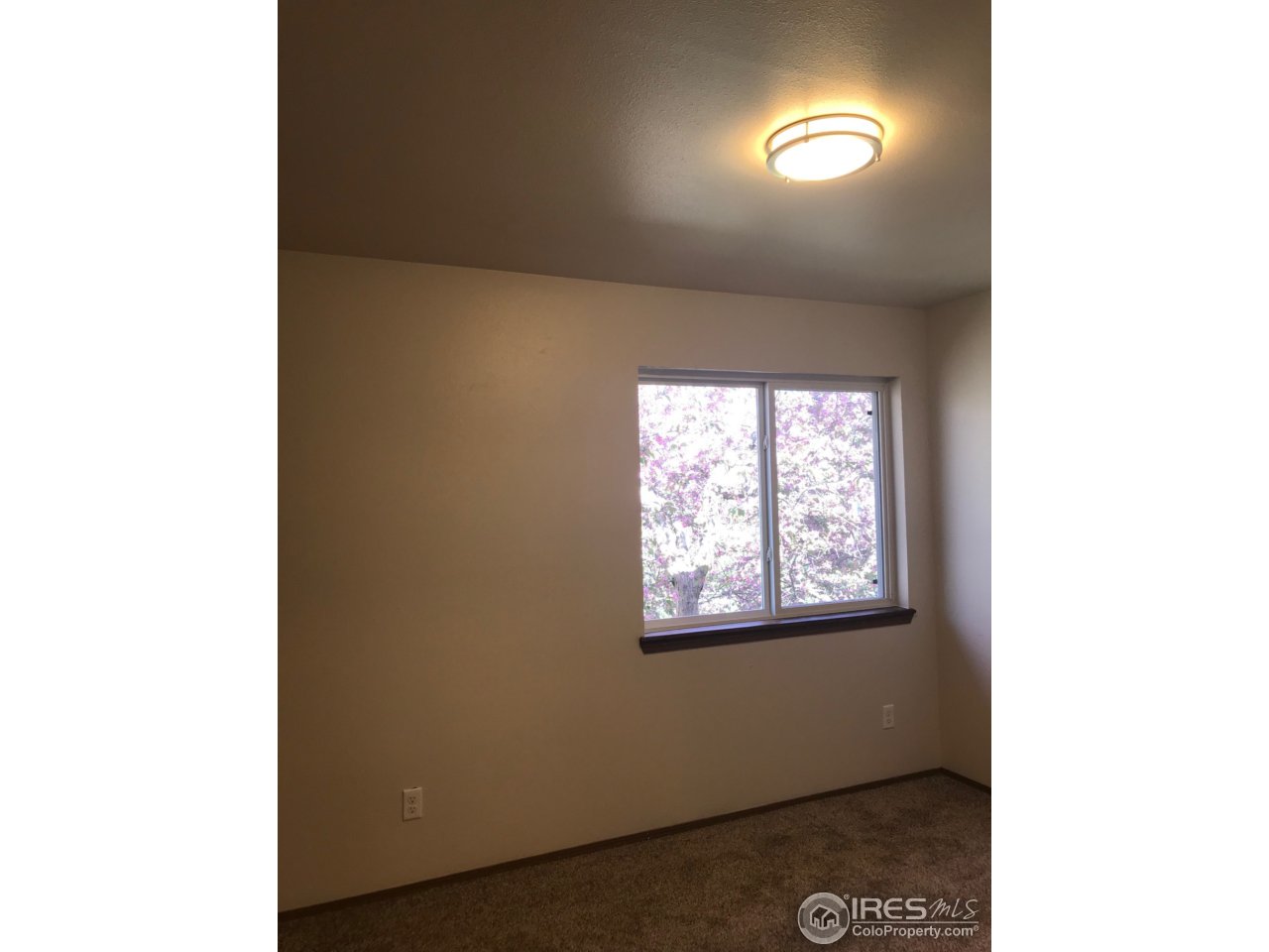 1440 Edora Road, Unit 28 Fort Collins, CO 80525 - Photo 11 of 22 Gallery Image 11