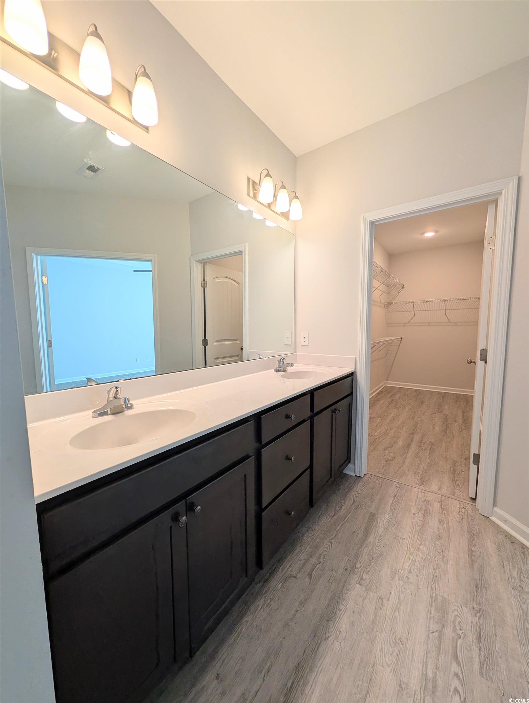 351 Lakota Loop Longs, SC 29568 - Photo 13 of 31 Bathroom with a spacious closet, double vanity, and light wood-style flooring