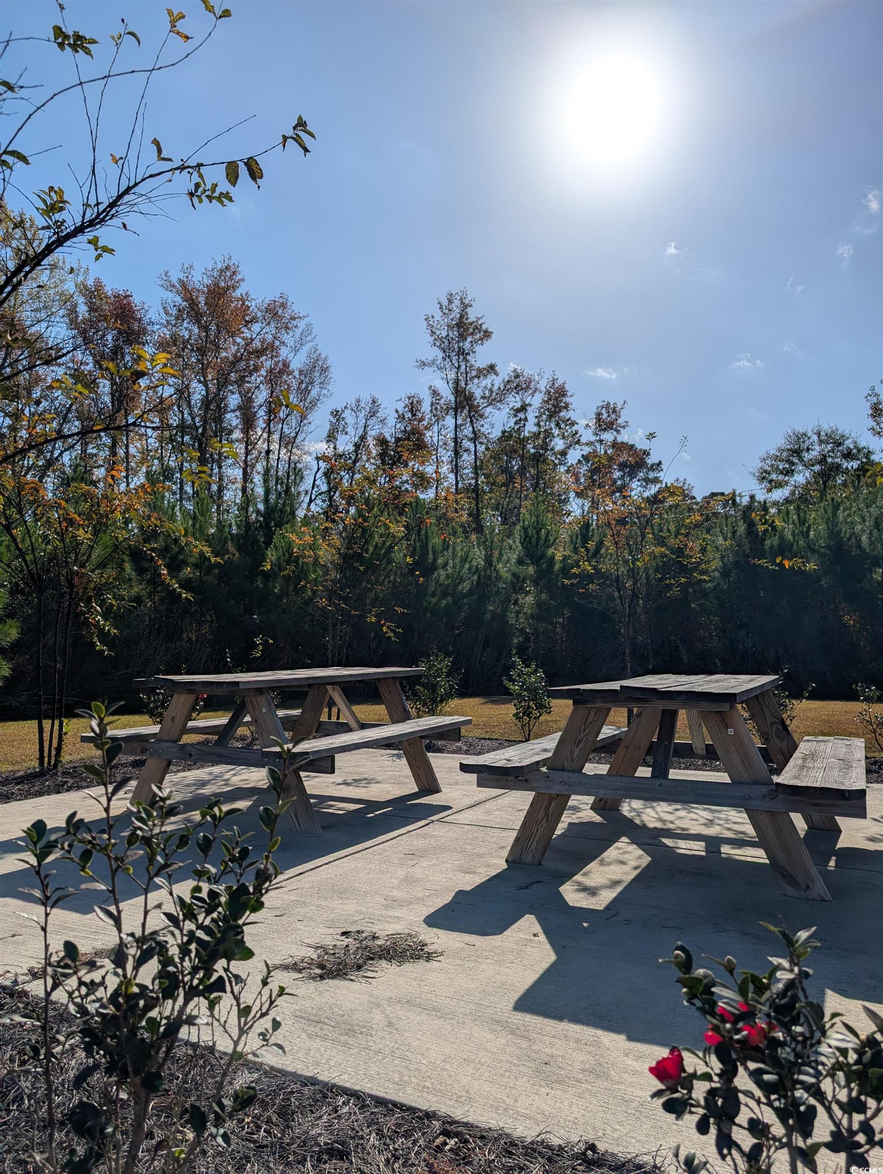 351 Lakota Loop Longs, SC 29568 - Photo 27 of 31 View of patio / terrace
