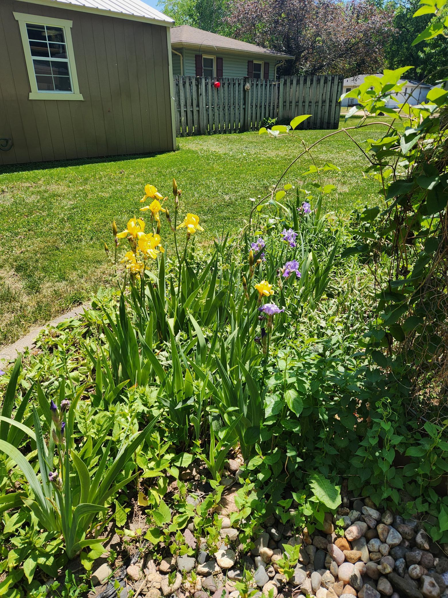 2606 Pearl Court Southeast Rochester, MN 55904 - Photo 28 of 30