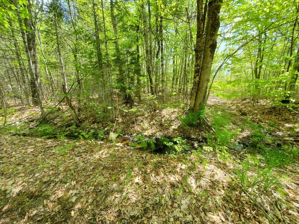 79 Perkins Road Winterport, ME 04496 - Photo 10 of 10 20210517_133516 (Copy)