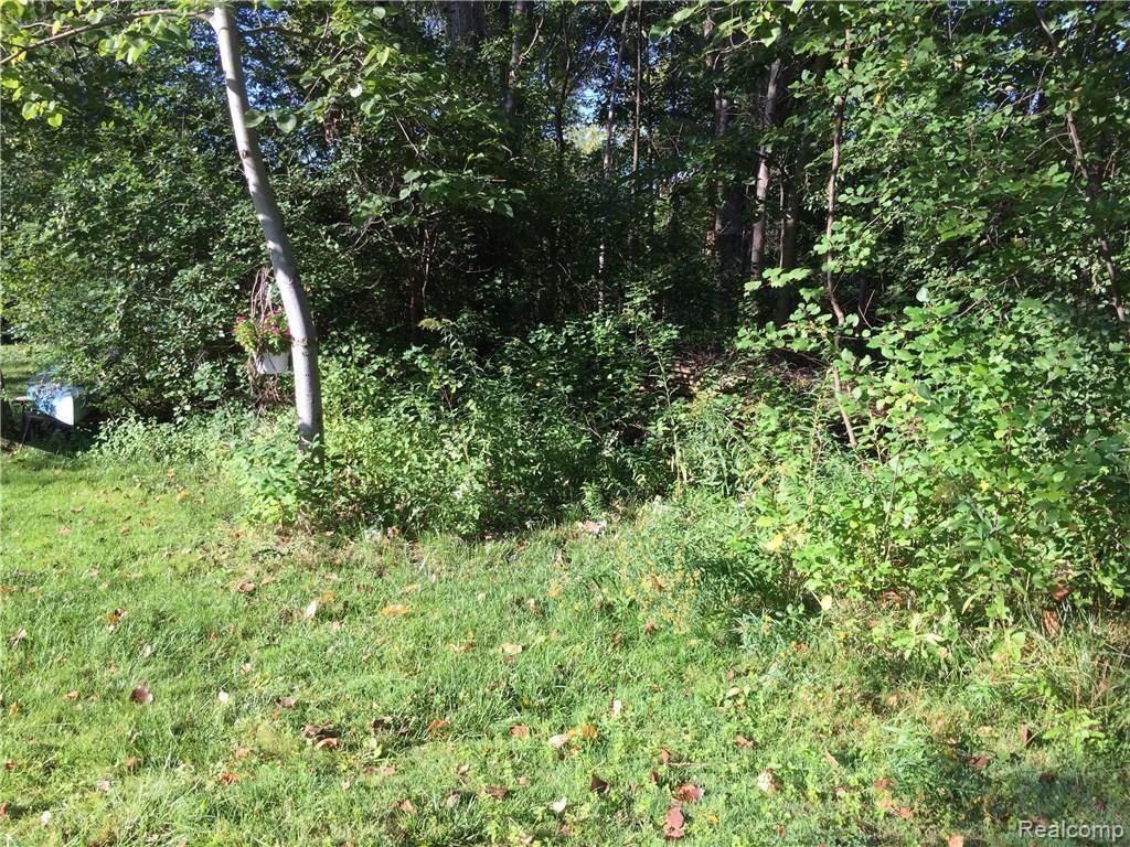 0 Cedar Island Road White Lake, MI 48386 - Photo 5 of 9