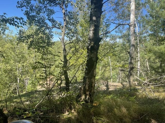 Lot 4 Skyview Road Mosinee, WI 54455 - Photo 5 of 17