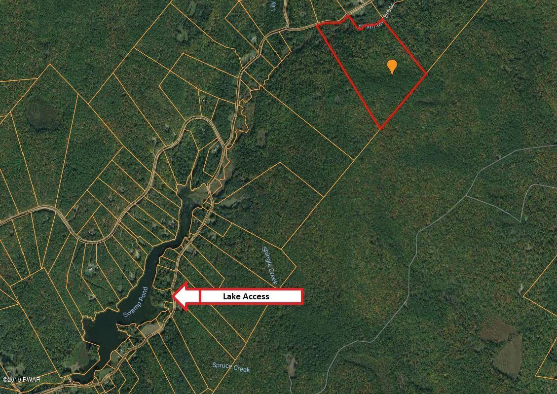Swamp Pond Road Narrowsburg, NY 12764 - Photo 4 of 10