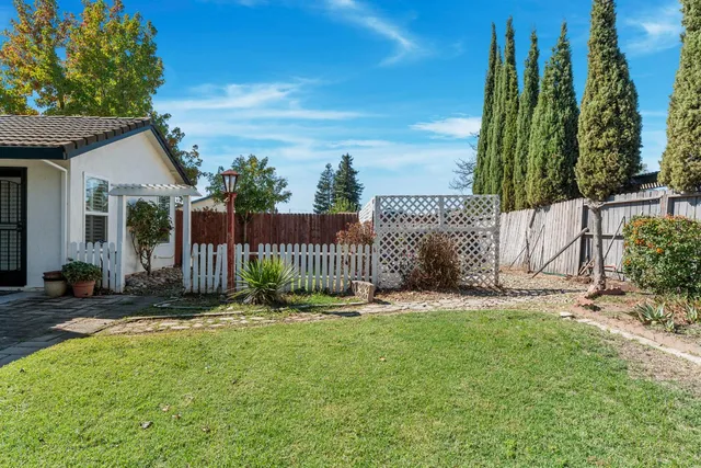 a garden covered with tall trees