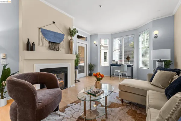 a view of a room with a window and potted plant