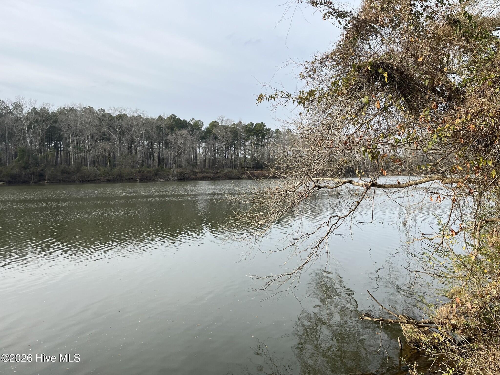 355.7 Horseshoe Road Rockingham, NC 28379 - Photo 2 of 11 Looking north from site