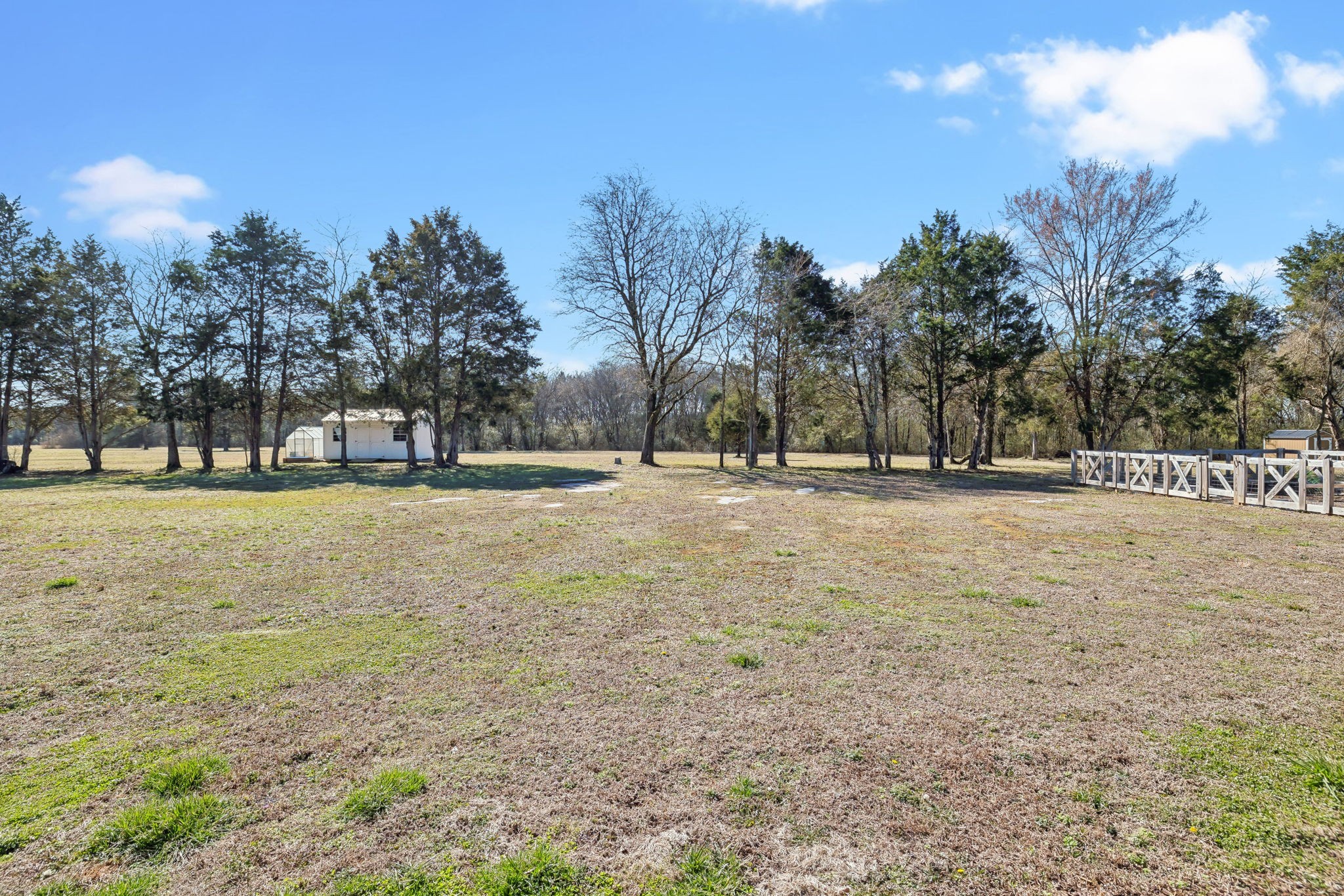 1567 Harrison Road Murfreesboro, TN 37128 - Photo 39 of 56 a view of road with trees