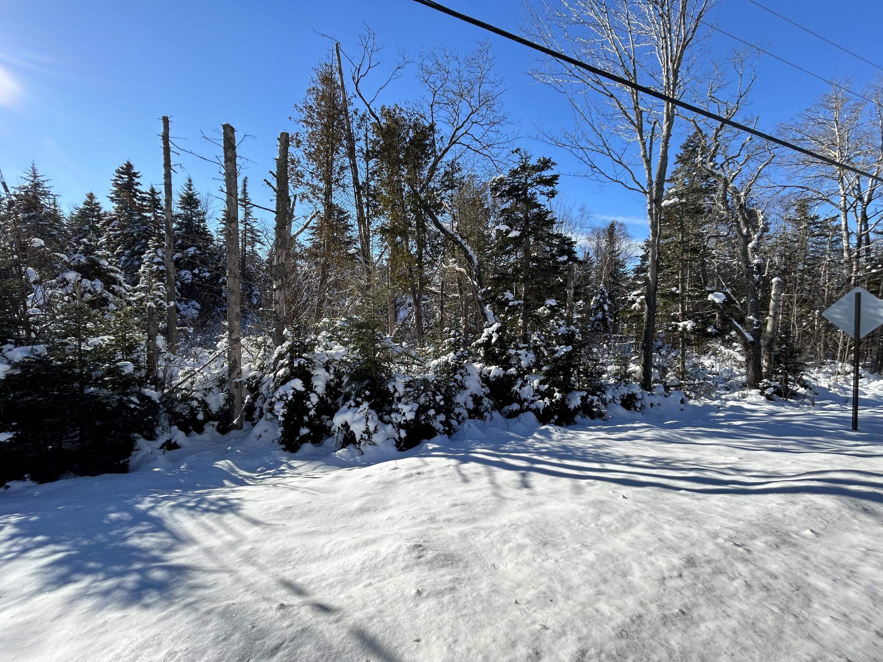 M17-l52-1 Stinchfield Road Sandy River Plt, ME 04970 - Photo 4 of 9 IMG_2570