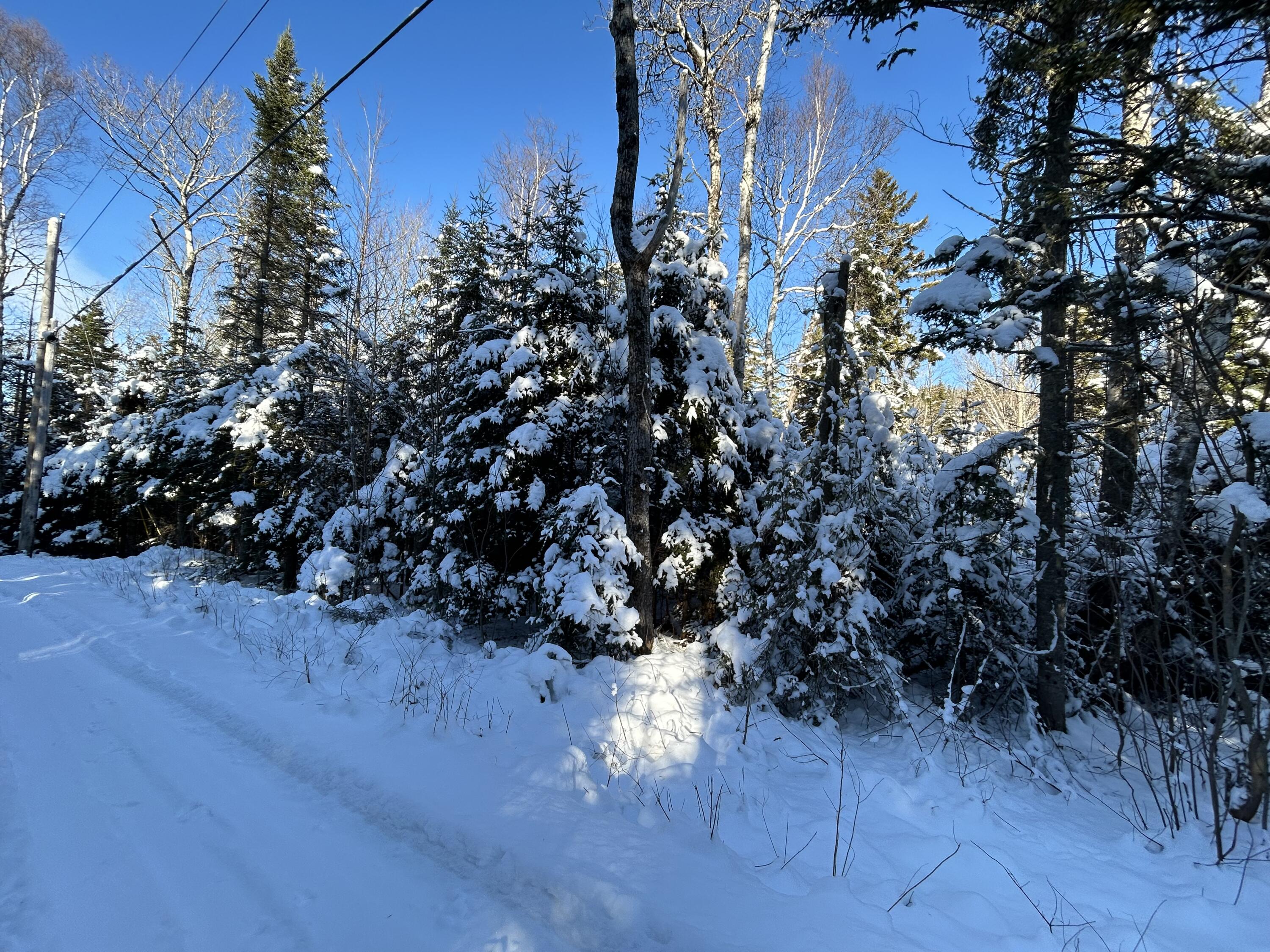 M17-l52-1 Stinchfield Road Sandy River Plt, ME 04970 - Photo 6 of 9 IMG_2573