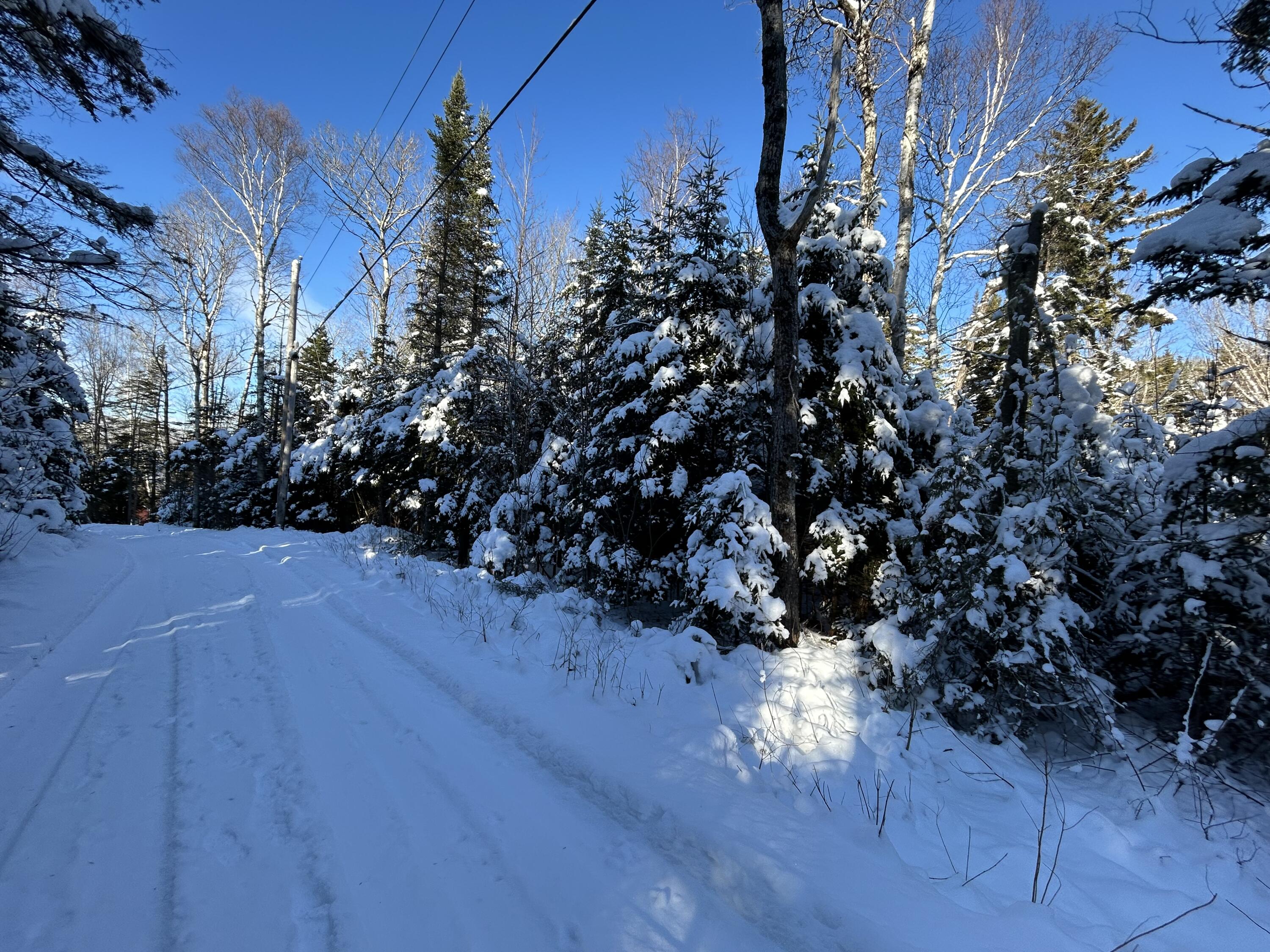 M17-l52-1 Stinchfield Road Sandy River Plt, ME 04970 - Photo 7 of 9 IMG_2572