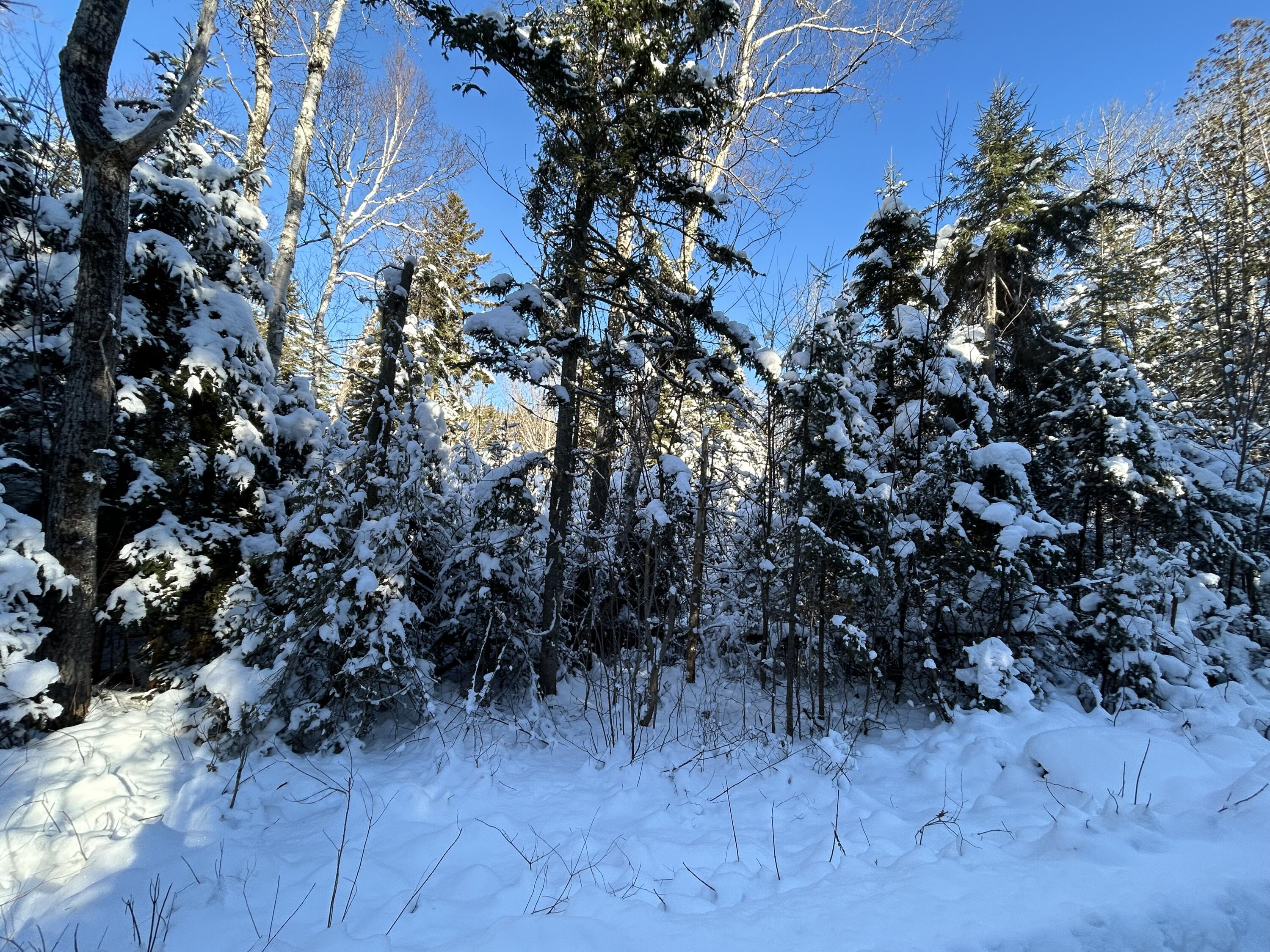 M17-l52-1 Stinchfield Road Sandy River Plt, ME 04970 - Photo 8 of 9 IMG_2575