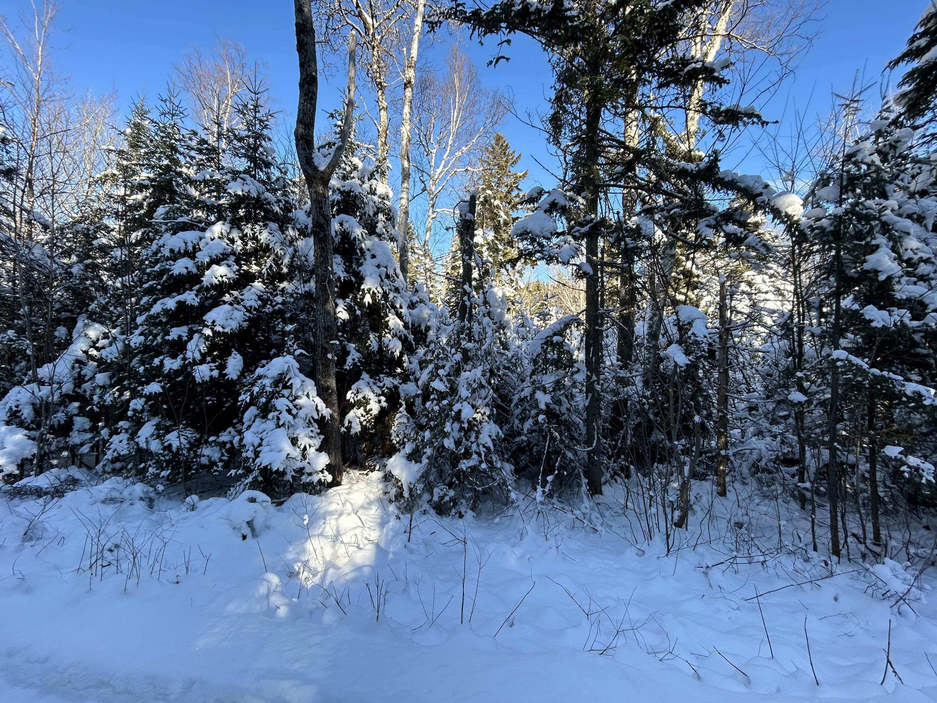 M17-l52-1 Stinchfield Road Sandy River Plt, ME 04970 - Photo 9 of 9 IMG_2574