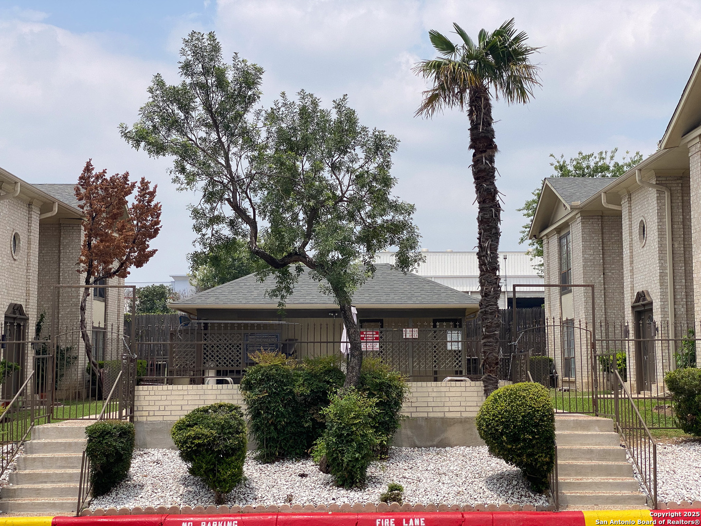 165 West Rampart Drive, Unit 205 San Antonio, TX 78216 - Photo 6 of 34 a front view of a house with palm trees