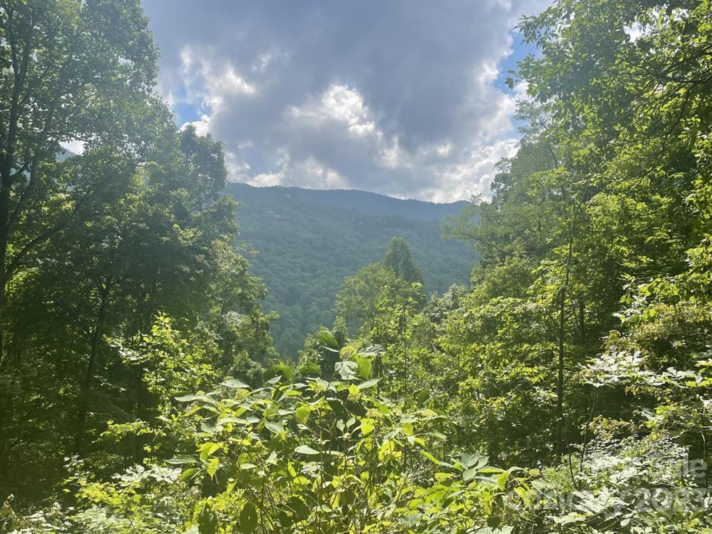 Lot 35 High Springs Road Bryson City, NC 28713 - Photo 1 of 2 a view of a garden