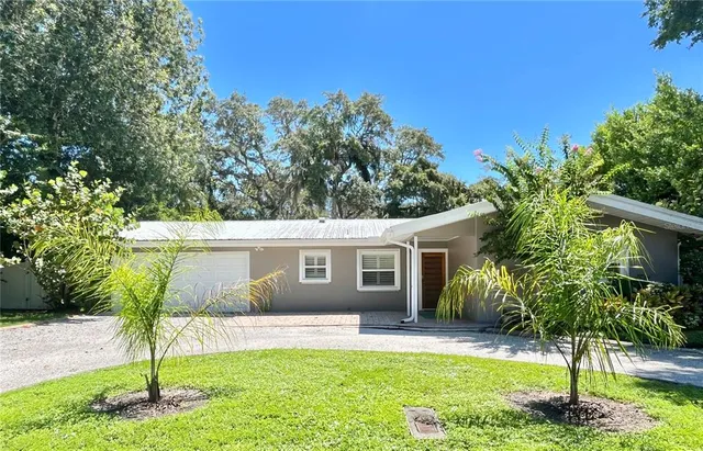 a backyard of a house with plants and palm tree