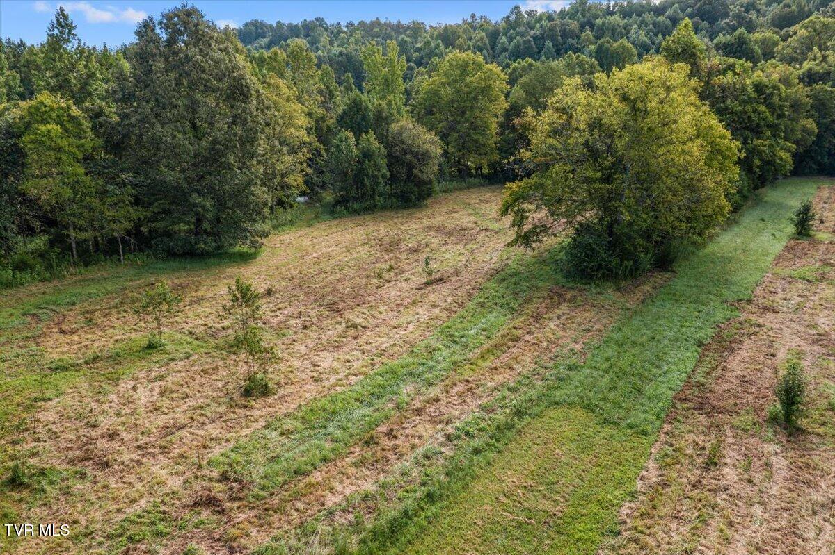 Tbd Little Cassi Creek Road, Unit 3 Chuckey, TN 37641 - Photo 10 of 17 10-DJI_0109