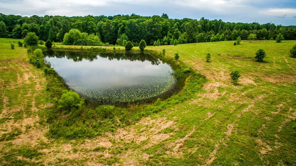 1 Tn City Road Dickson, TN 37055 - Photo 1 of 3 a view of a lake with a yard and large trees