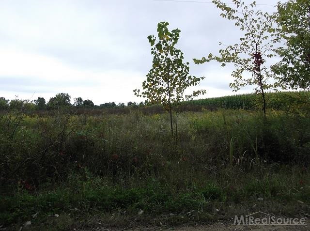 0 Metcalf Road Capac, MI 48014 - Photo 5 of 14