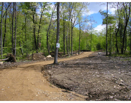 Lot 18 Shaw Road Wales, MA 01081 - Photo 1 of 1 Gallery Image 1