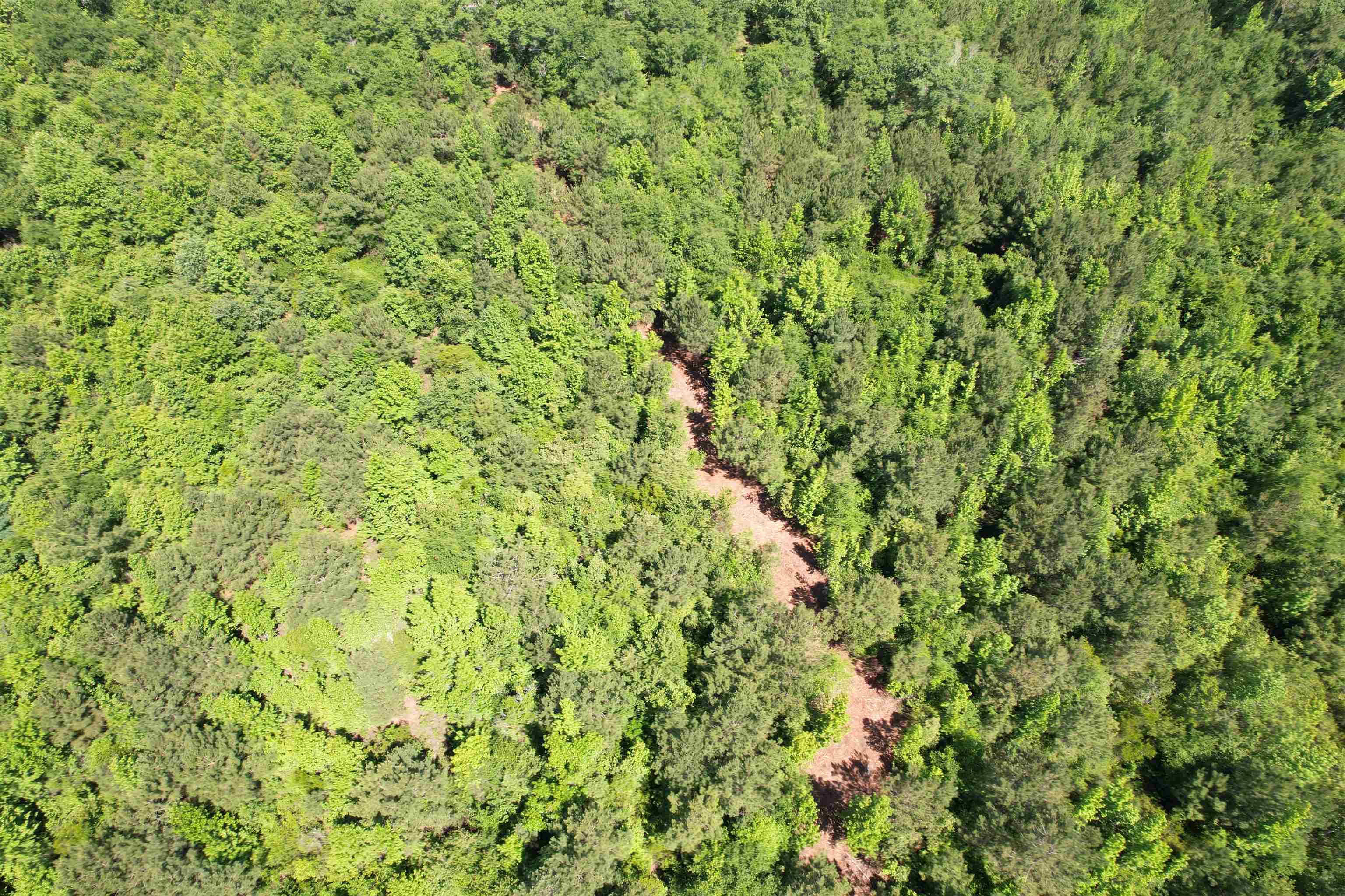 5432 June Burn Road Manning, SC 29102 - Photo 21 of 32