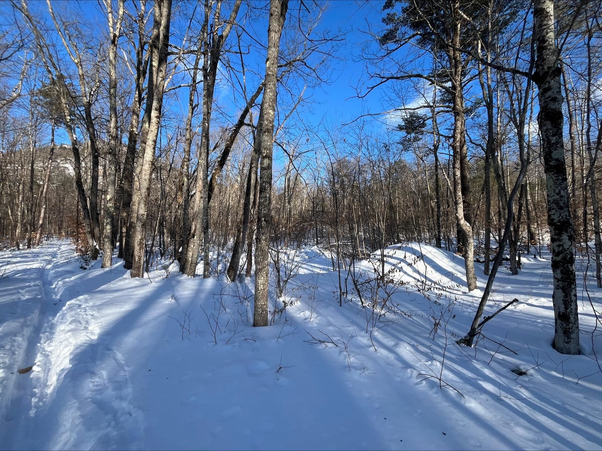 0 Mountain Street Center Conway, NH 03813 - Photo 12 of 25