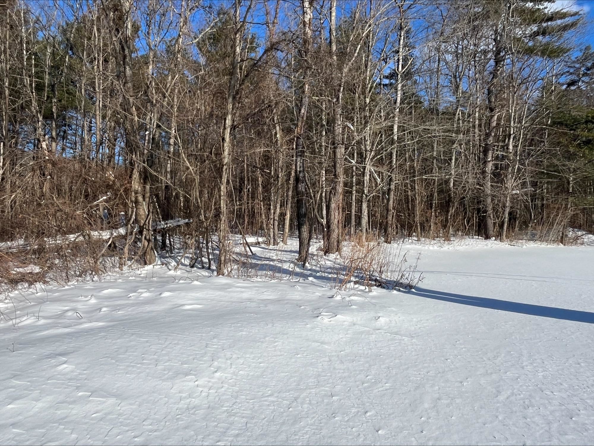0 Mountain Street Center Conway, NH 03813 - Photo 13 of 25