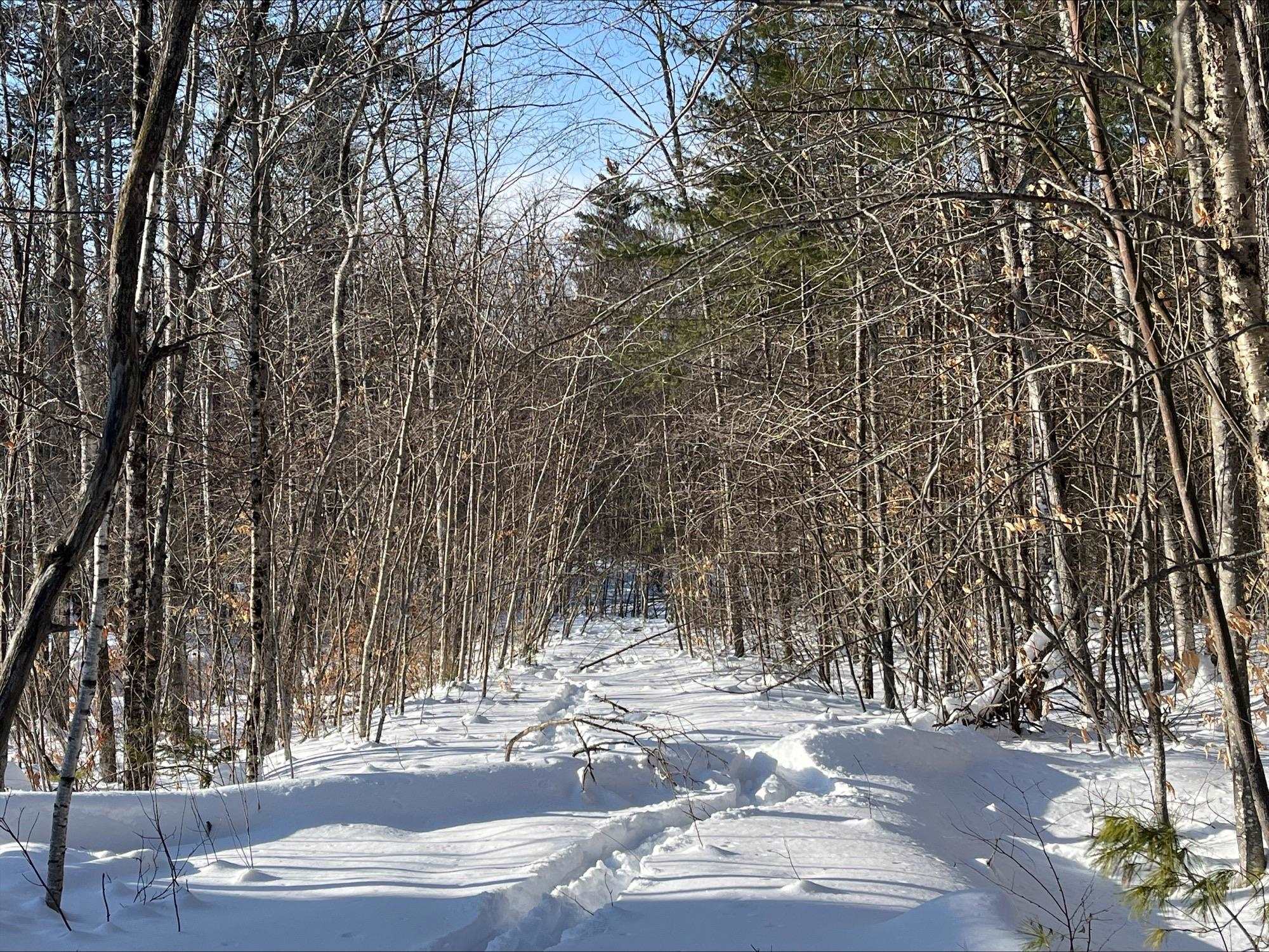 0 Mountain Street Center Conway, NH 03813 - Photo 16 of 25