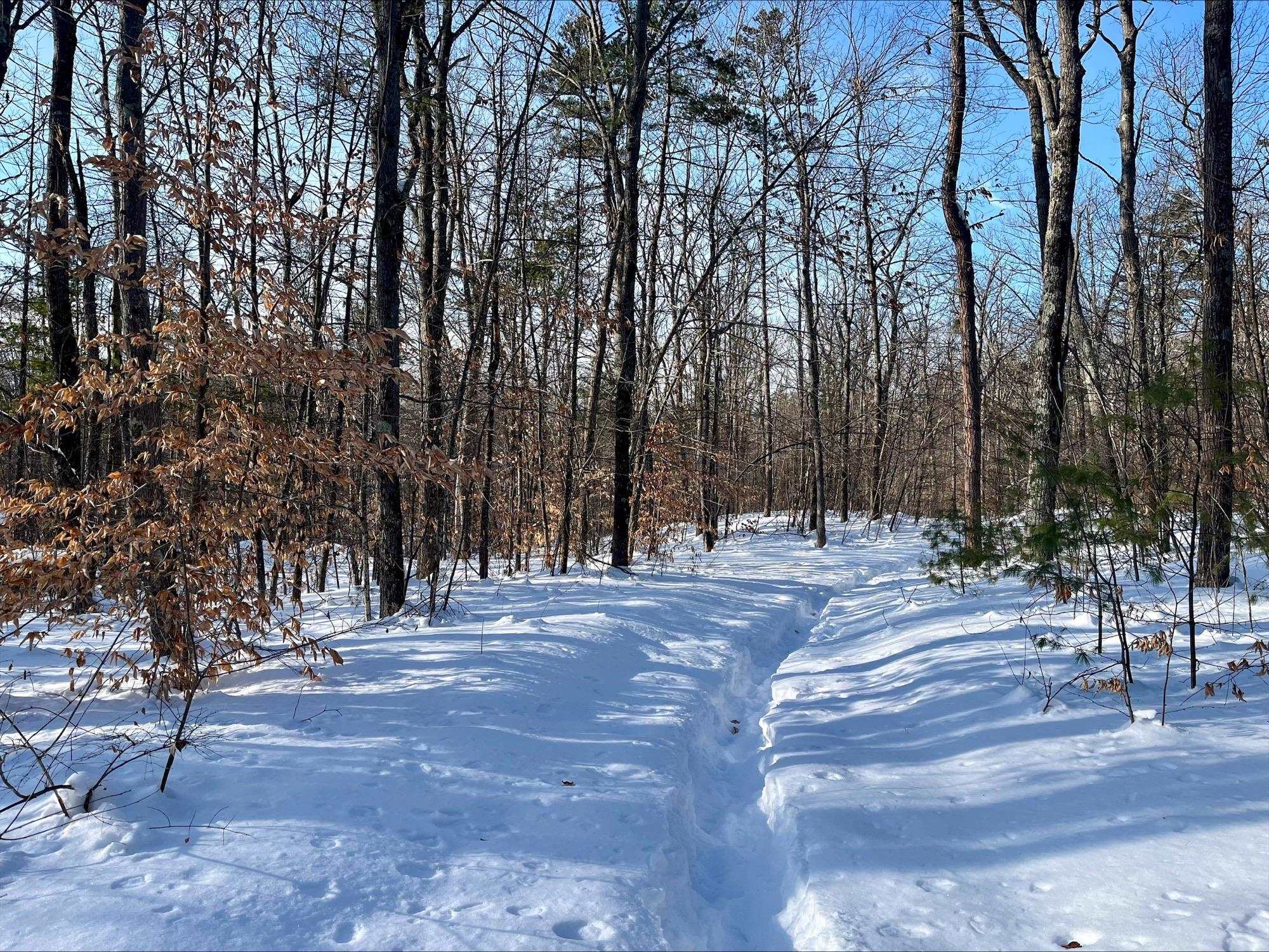 0 Mountain Street Center Conway, NH 03813 - Photo 21 of 25