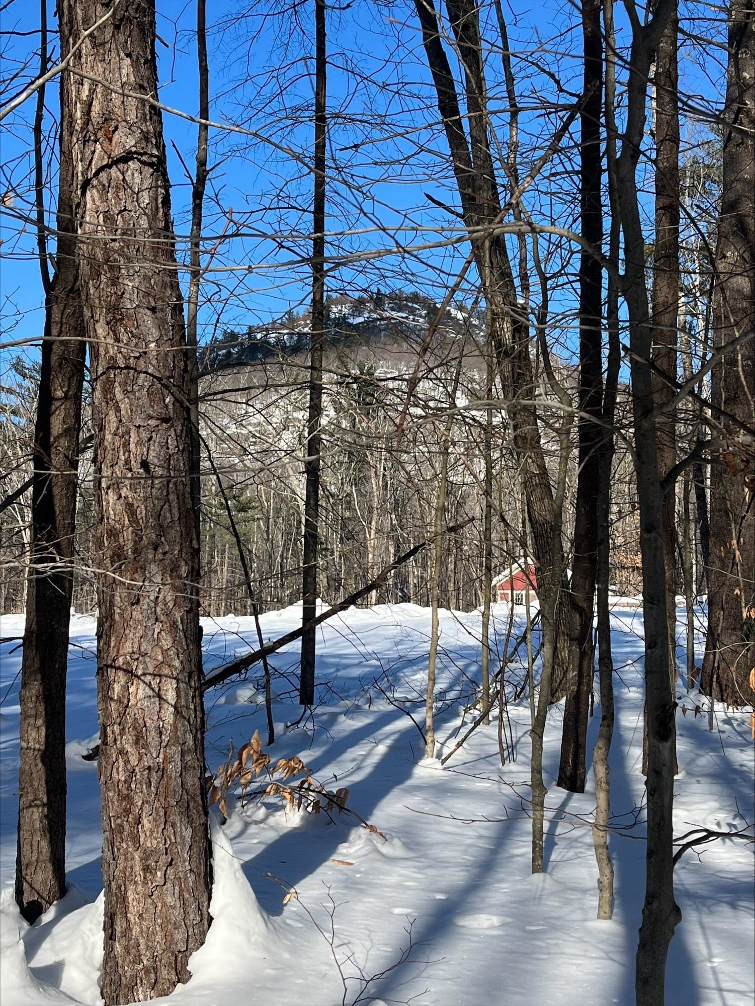 0 Mountain Street Center Conway, NH 03813 - Photo 24 of 25