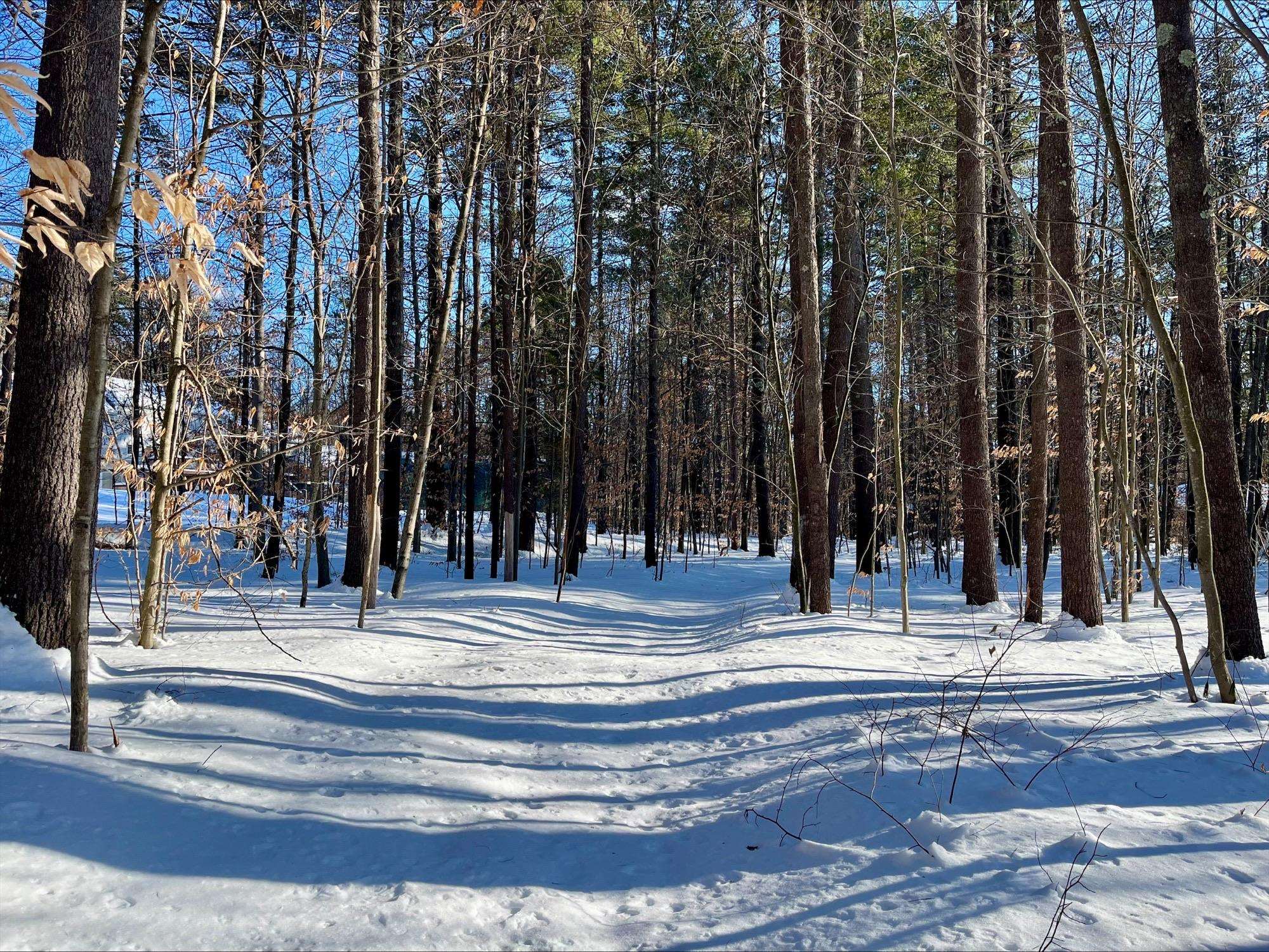 0 Mountain Street Center Conway, NH 03813 - Photo 3 of 25