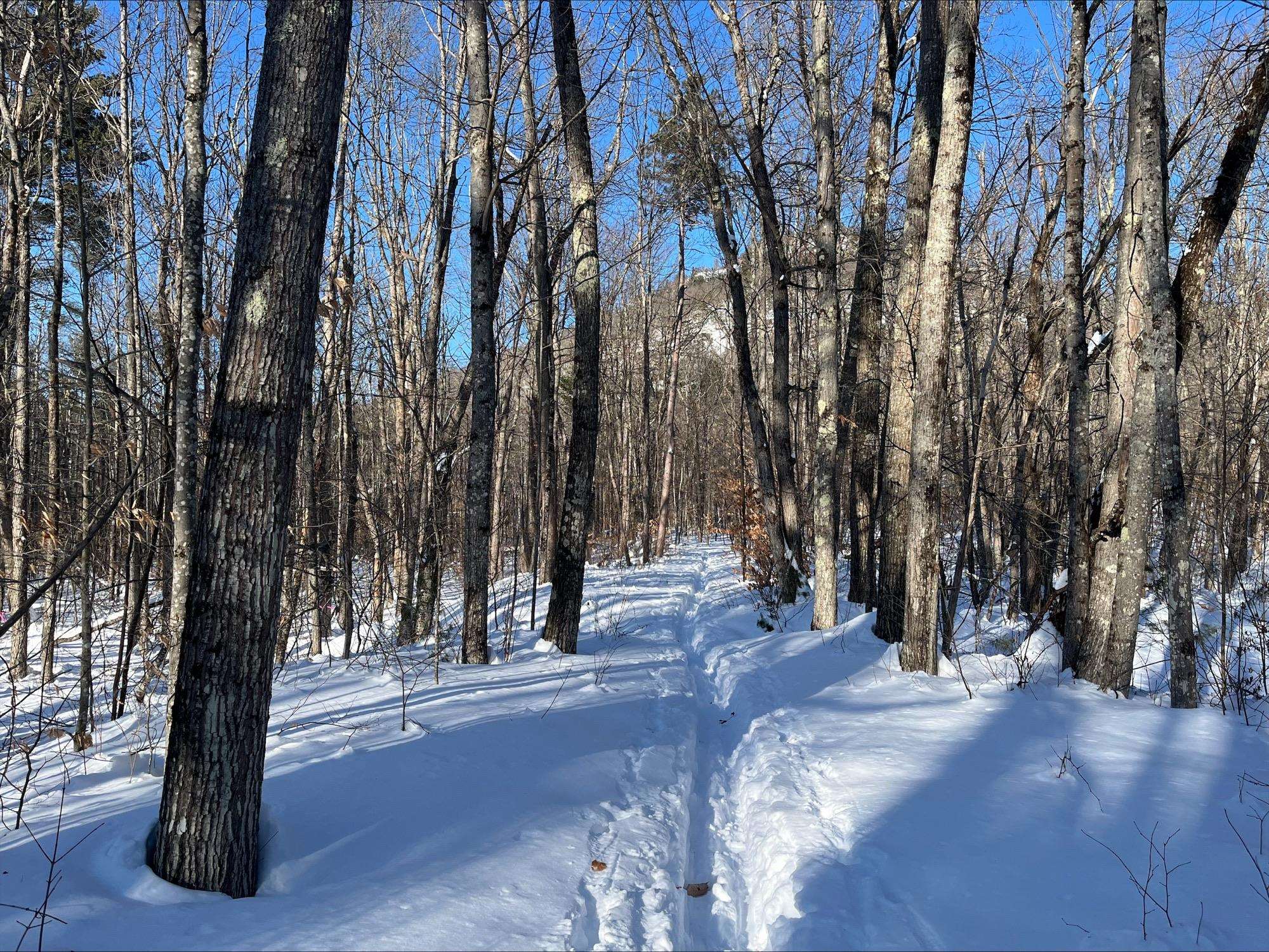 0 Mountain Street Center Conway, NH 03813 - Photo 4 of 25