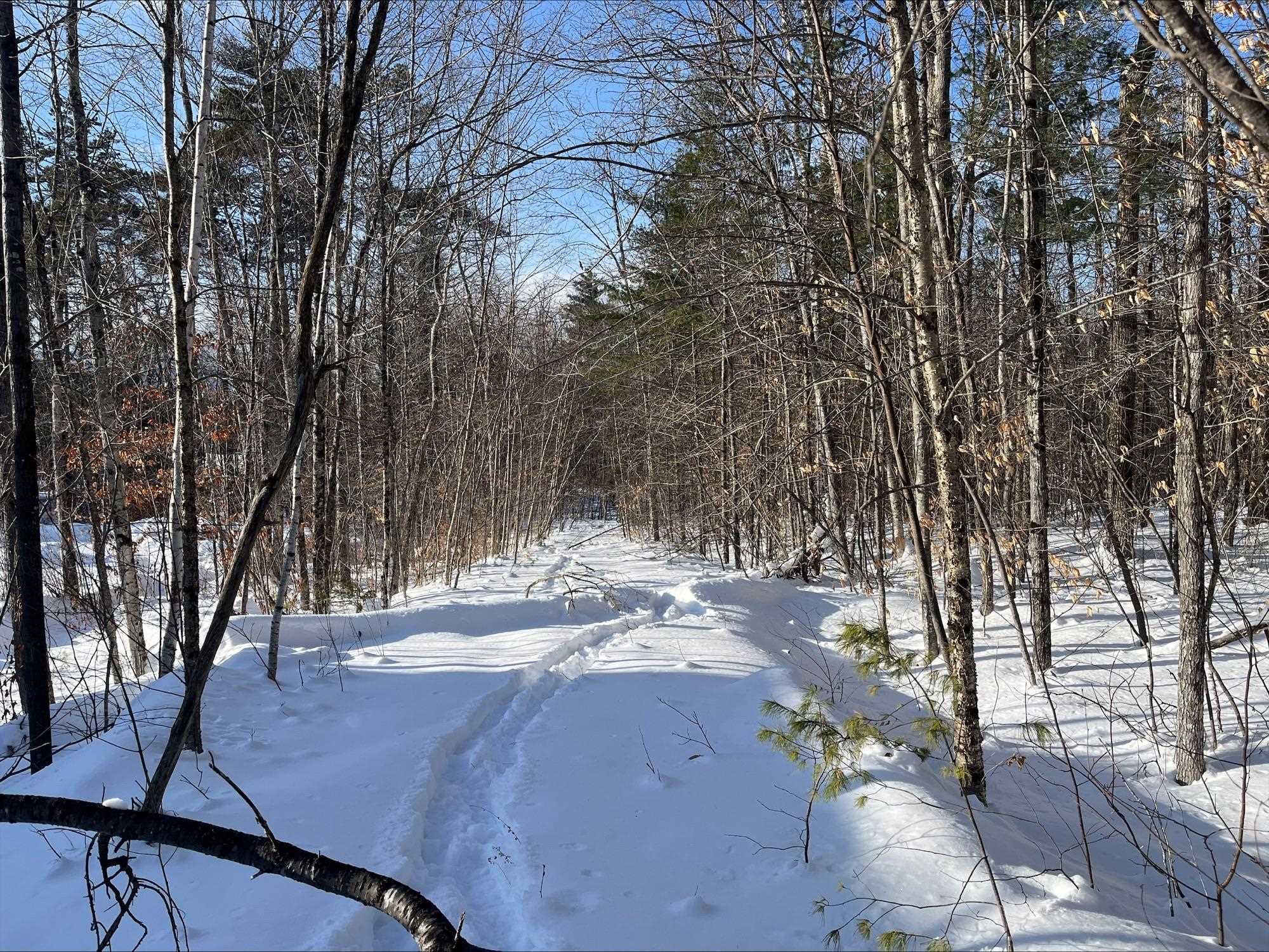 0 Mountain Street Center Conway, NH 03813 - Photo 5 of 25