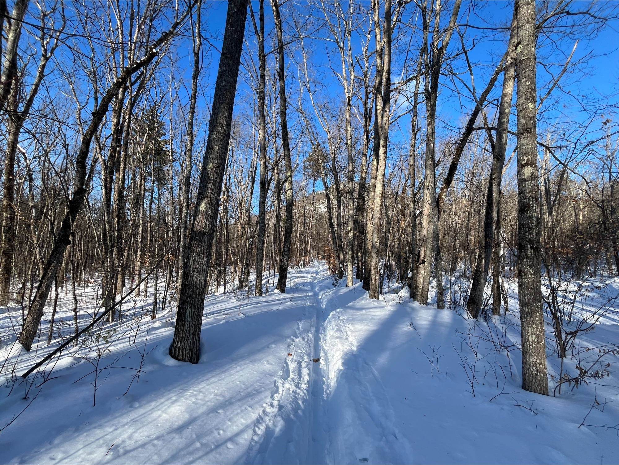 0 Mountain Street Center Conway, NH 03813 - Photo 8 of 25