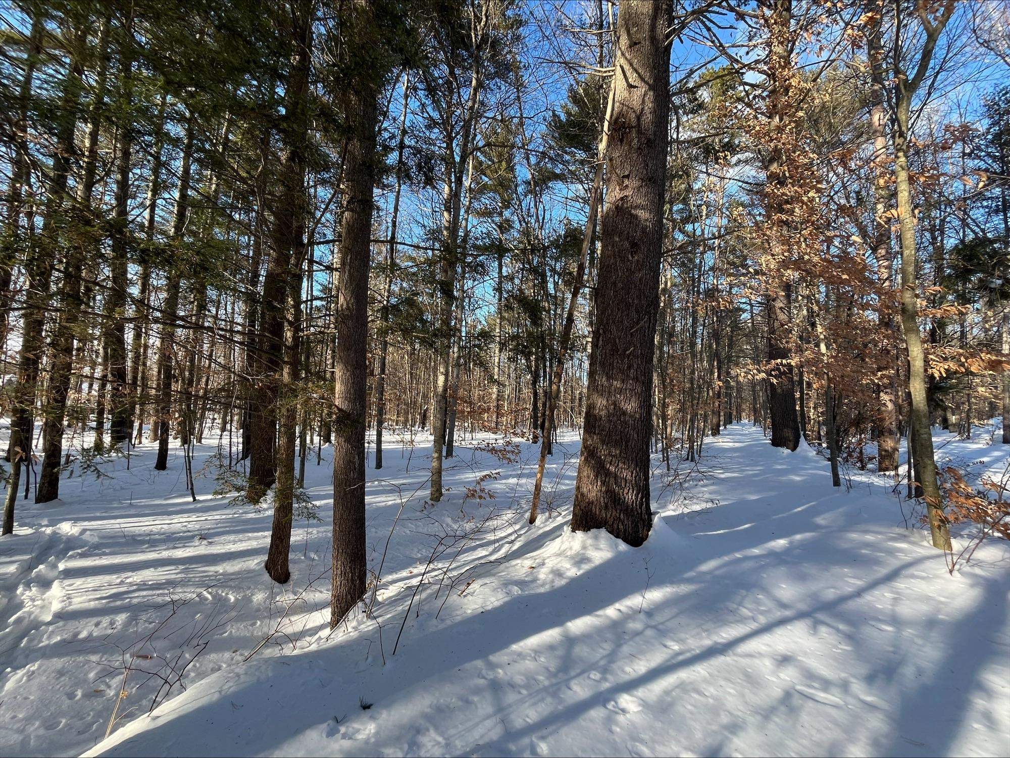 0 Mountain Street Center Conway, NH 03813 - Photo 9 of 25