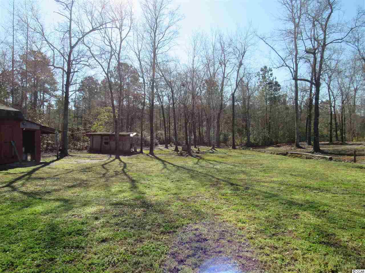 203 Blinkhorn Road Conway, SC 29526 - Photo 25 of 32 Gallery Image 25