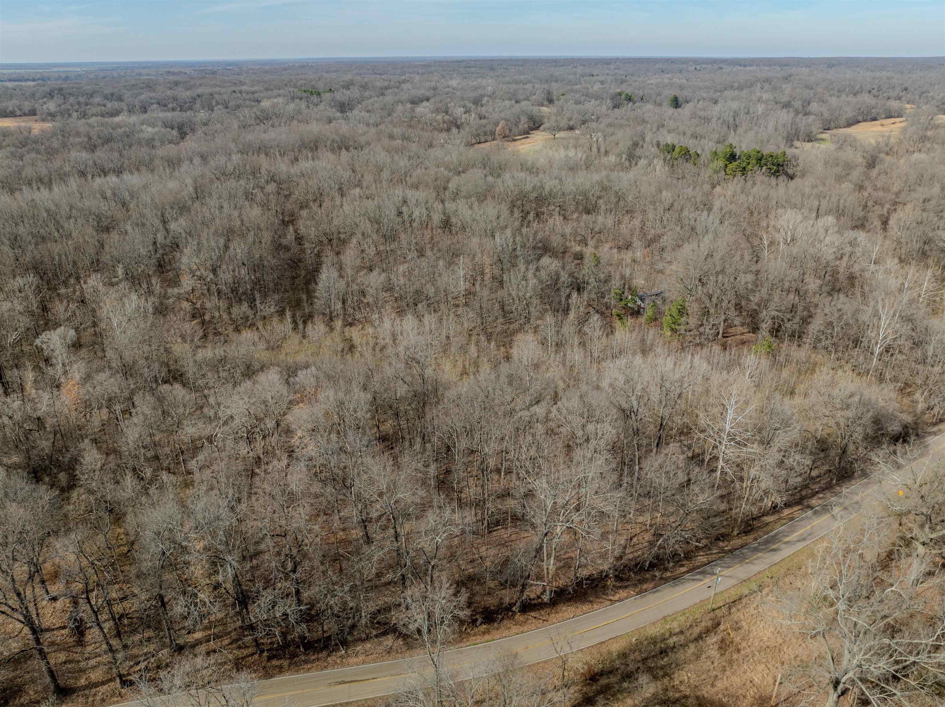 5155 Benjestown Road Memphis, TN 38127 - Photo 22 of 36 a view of a dry field