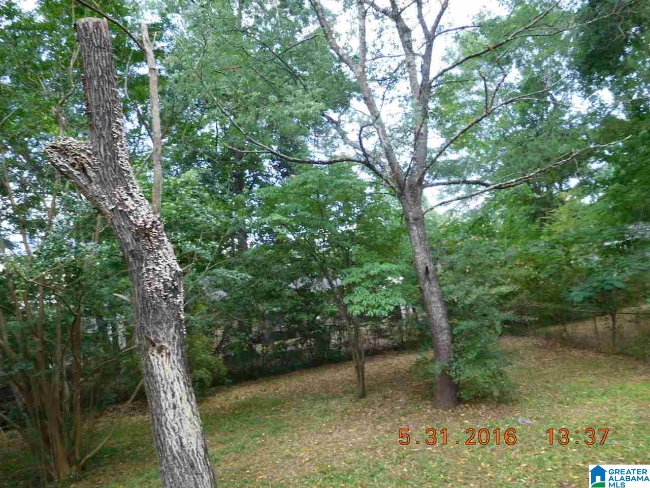 1117 26th Avenue North Bessemer, AL 35023 - Photo 5 of 22