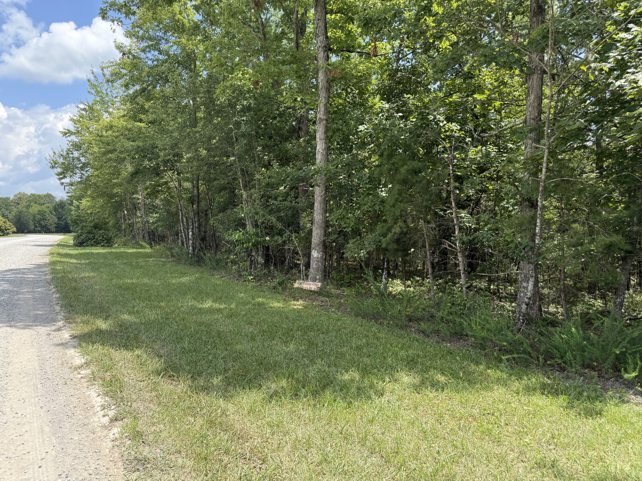 0 Long Branch Road Spencer, TN 38585 - Photo 2 of 13 a view of a green field with trees in the background