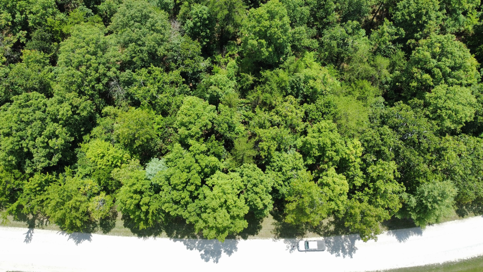 0 Long Branch Road Spencer, TN 38585 - Photo 3 of 13 a view of a lush green forest with a park