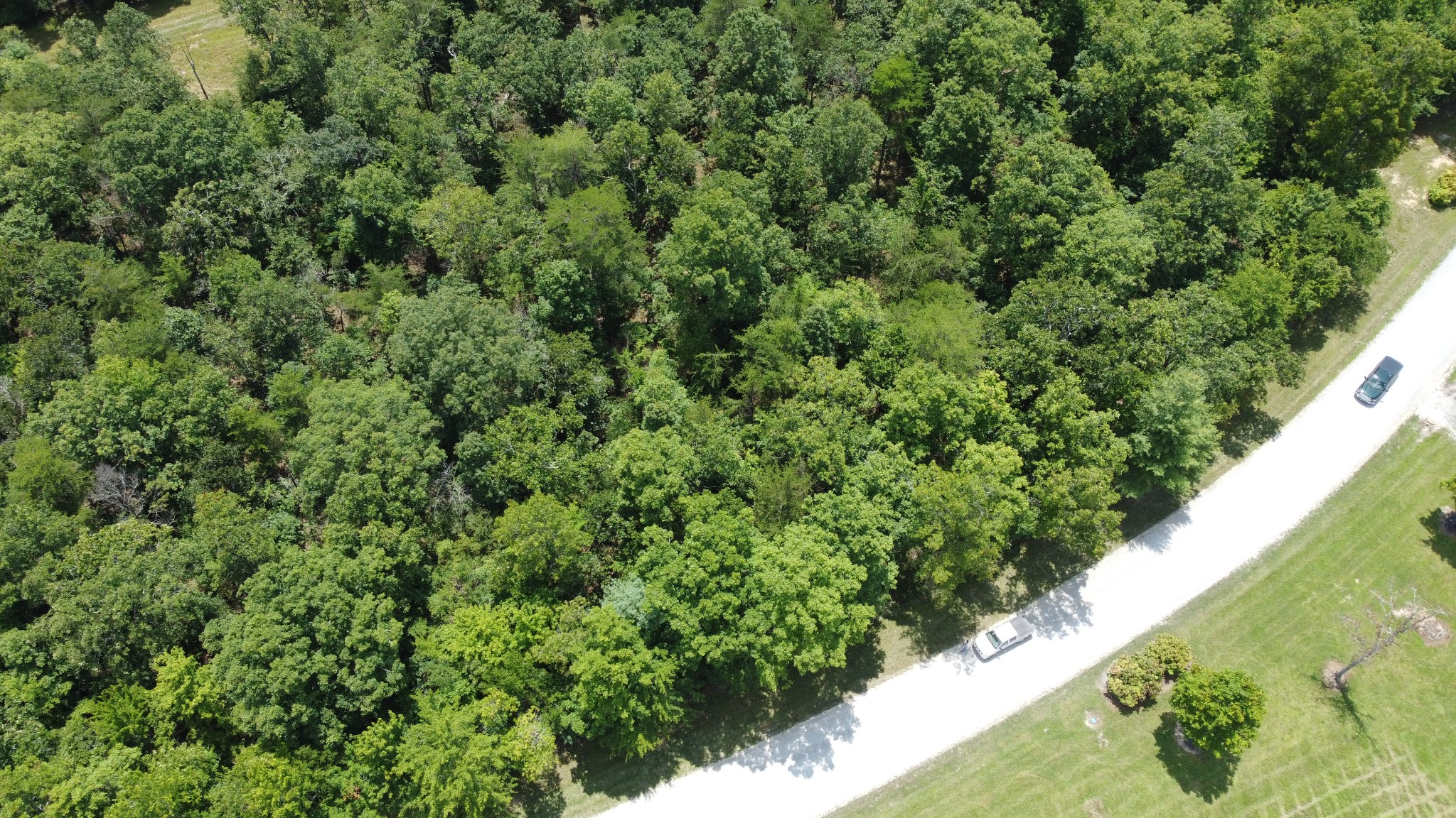 0 Long Branch Road Spencer, TN 38585 - Photo 5 of 13 a view of a forest with a park