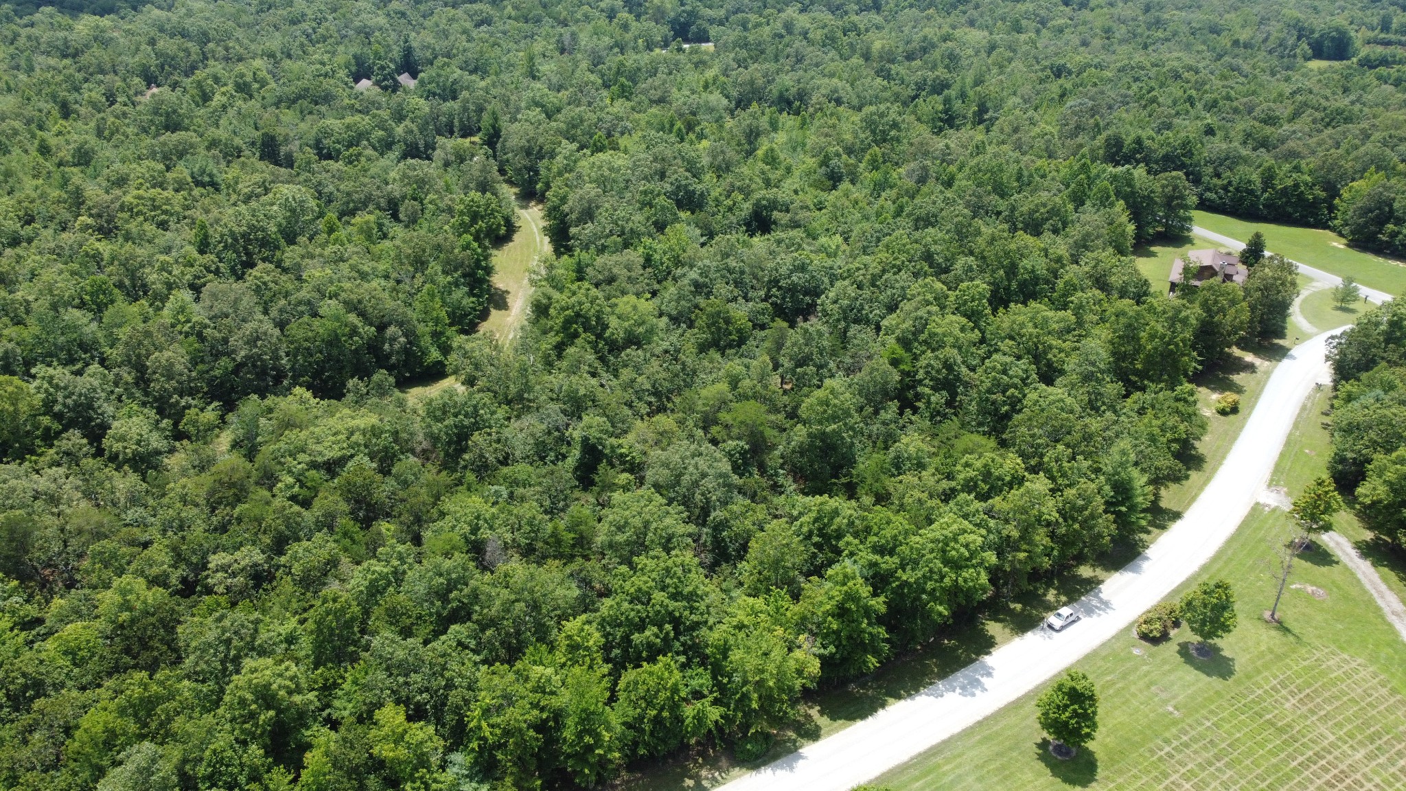 0 Long Branch Road Spencer, TN 38585 - Photo 6 of 13 a view of a forest with a street