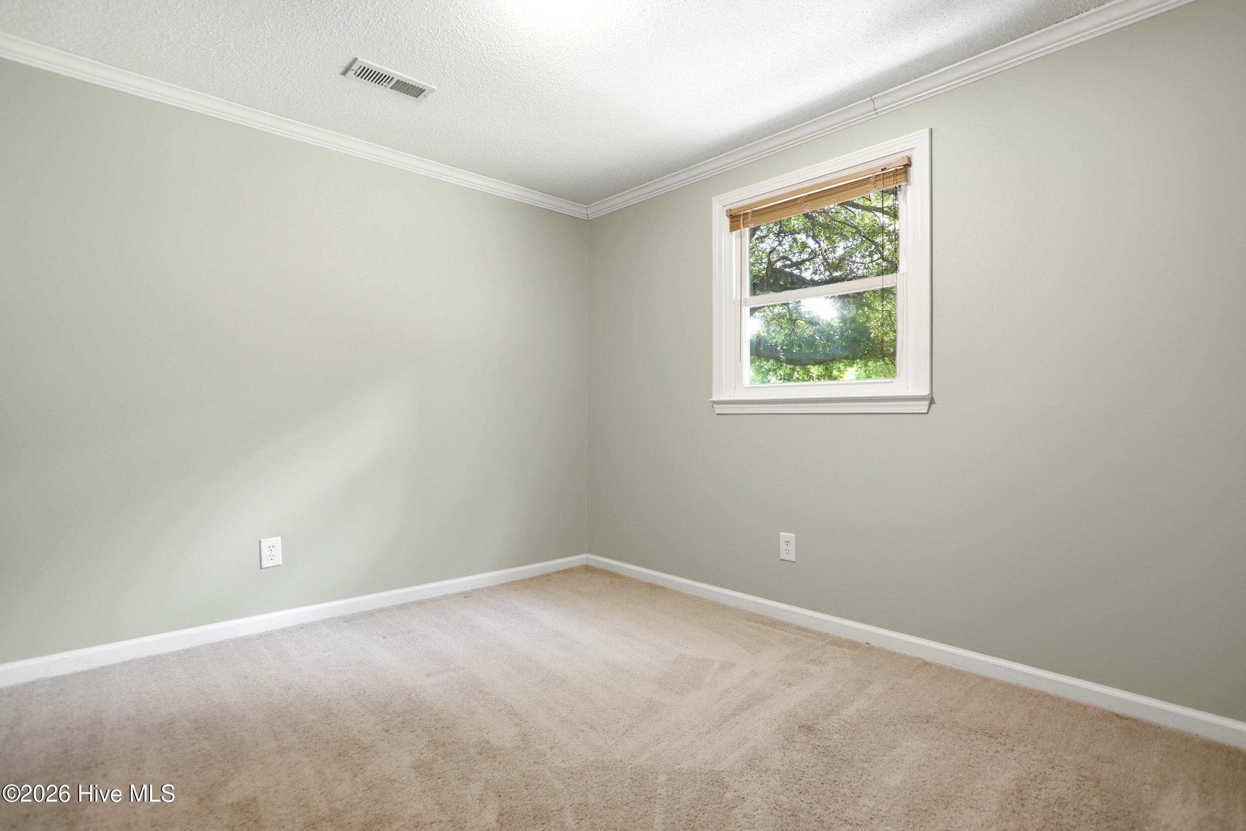 249 Ernest Gurganus Road Jacksonville, NC 28540 - Photo 10 of 51