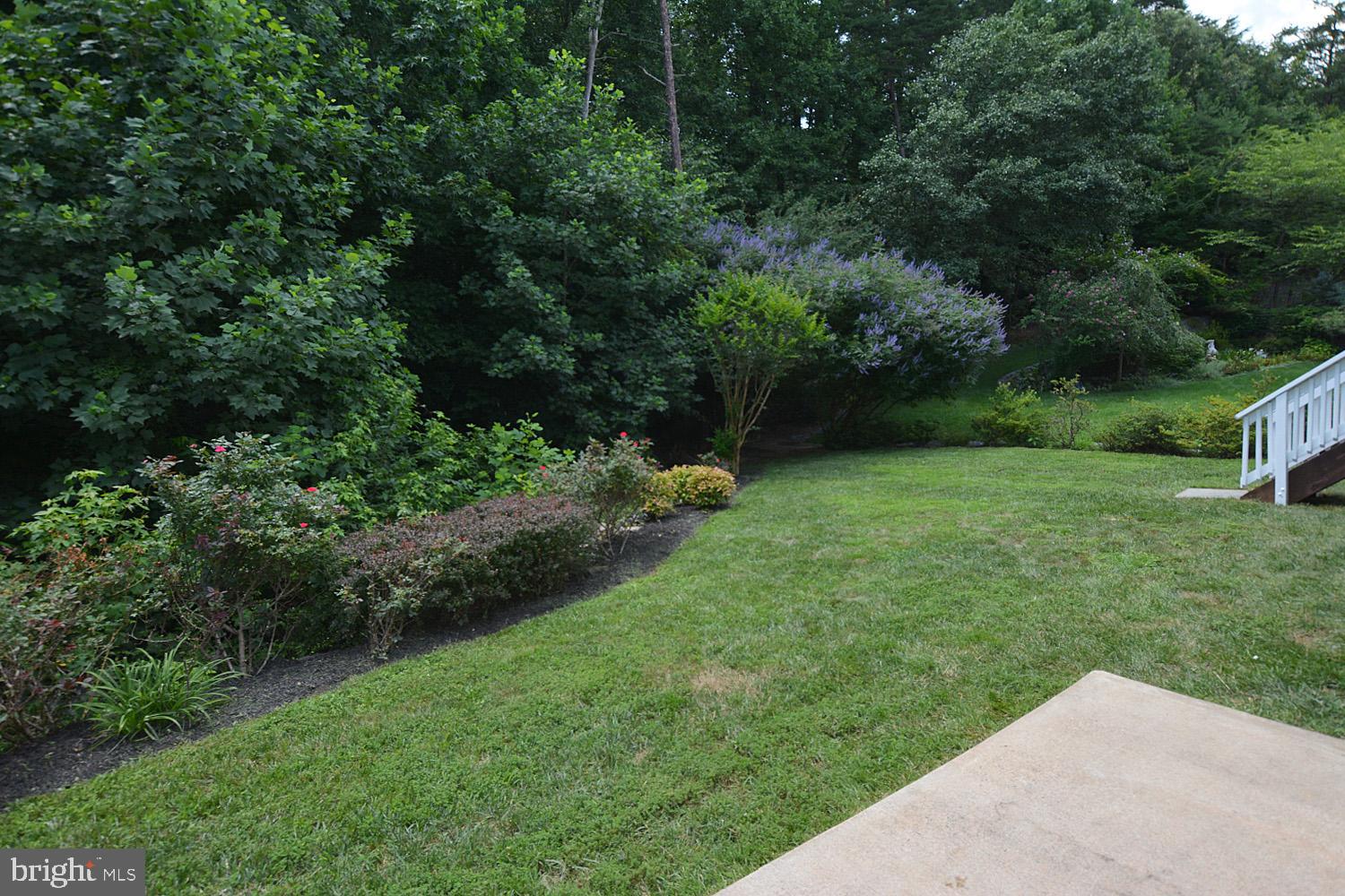 6096 Deer Ridge Trail Springfield, VA 22150 - Photo 35 of 40