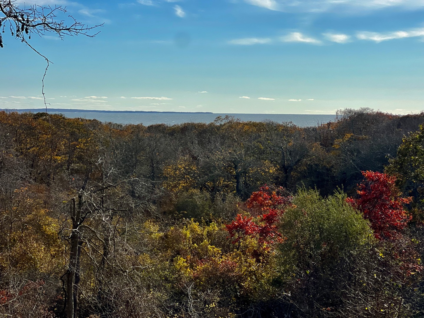 2 Old Field Road Aquinnah, MA 02535 - Photo 22 of 24 Gallery Image 22