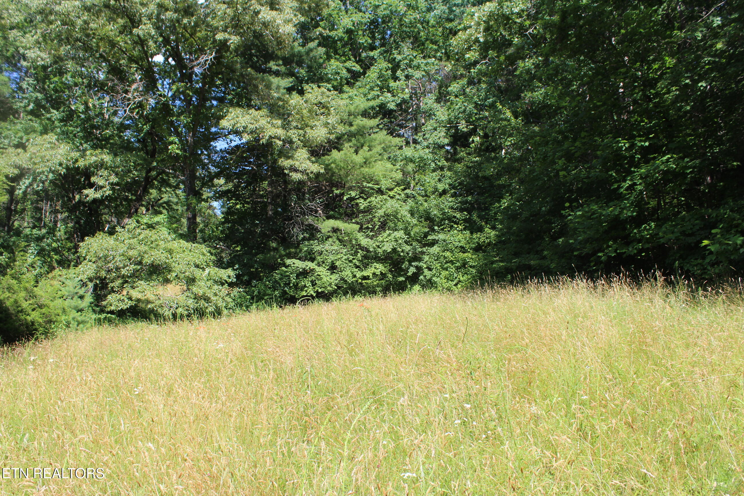 704 Annadel Road Lancing, TN 37770 - Photo 27 of 39 027