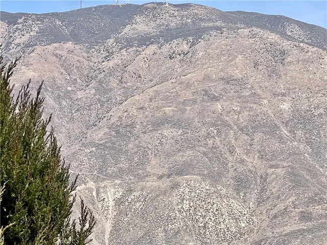 a view of a dry yard with trees in the background