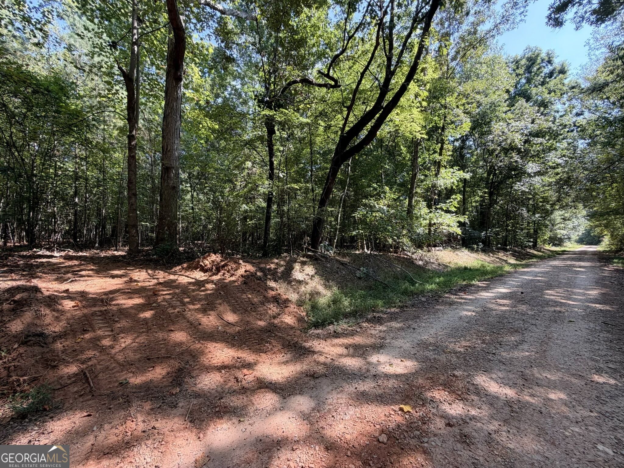 11 Bunch Road Tignall, GA 30668 - Photo 17 of 81 Gallery Image 17