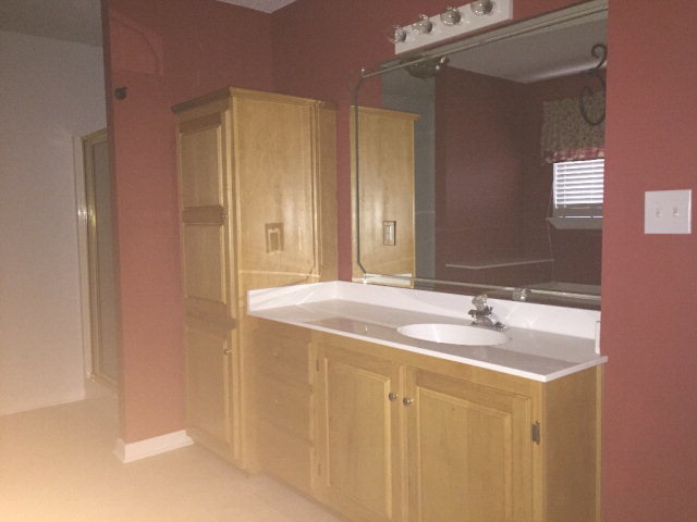 3416 Lower Hartley Bridge Road Byron, GA 31008 - Photo 20 of 28 a bathroom with a sink and a mirror