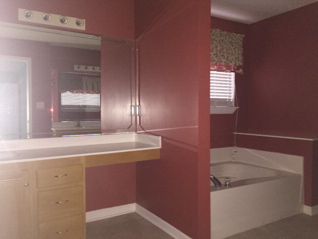 3416 Lower Hartley Bridge Road Byron, GA 31008 - Photo 21 of 28 a bathroom with a sink and a mirror